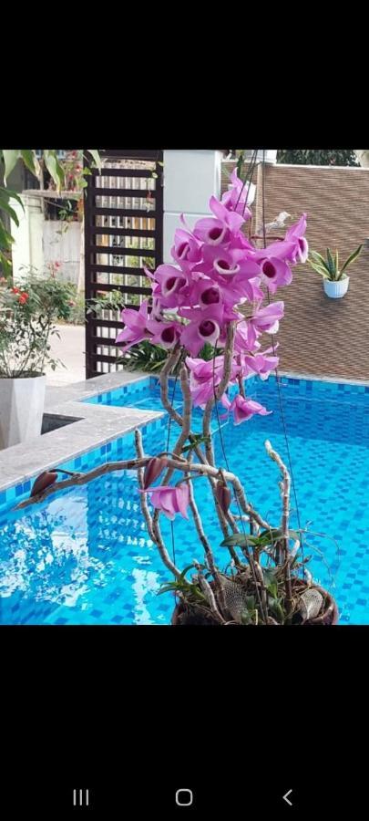 Riverlife Homestay Hội An Kültér fotó